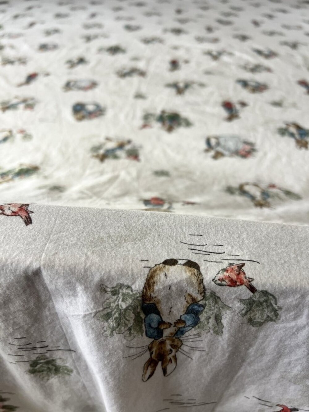 POTTERY BARN KIDS Peter Rabbit TWIN Flat BEATRIX POTTER !00% Organic Cotton - Picture 8 of 11
